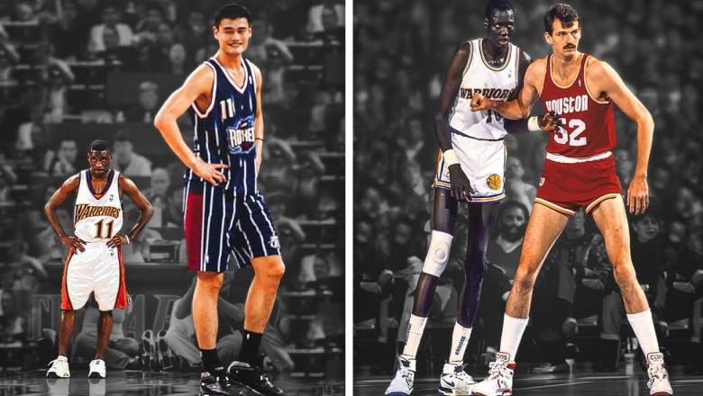 Why are basketball players so tall? Understanding the biological advantage in hoops - Ảnh 3